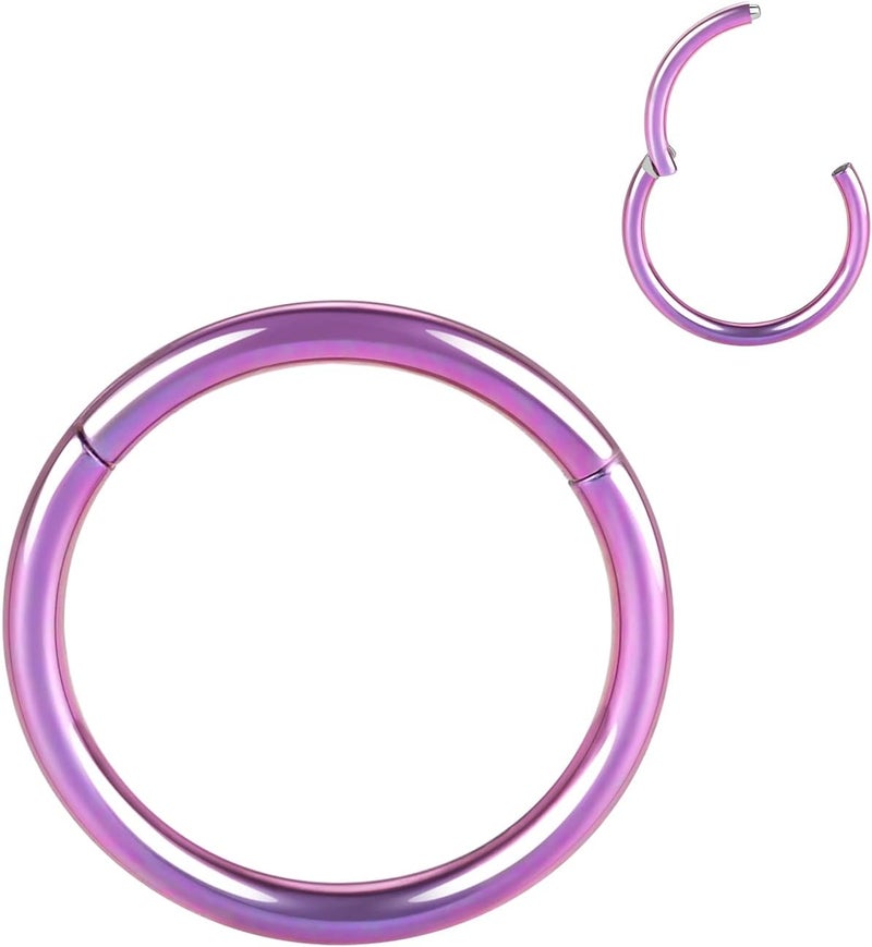 FUNLMO Store 316L Surgical Steel Hinged Segment Nose Ring Hoop for Nose Septum Cartilage Helix Tragus Conch Rook Daith Lobe Lip Piercings 1 Pc - Image 1